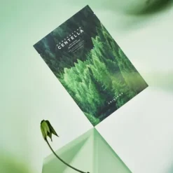 SKIN1004 Madagascar Centella Tea-Trica Relaxing Mask