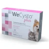 Wepharm WeCysto Plus 30 st
