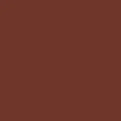 Wet n Wild Color Icon Lipliner Chestnut 1,4 g